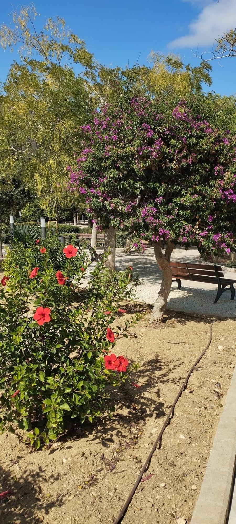 Santa Rita Of Majestic Townhouse * Victoria